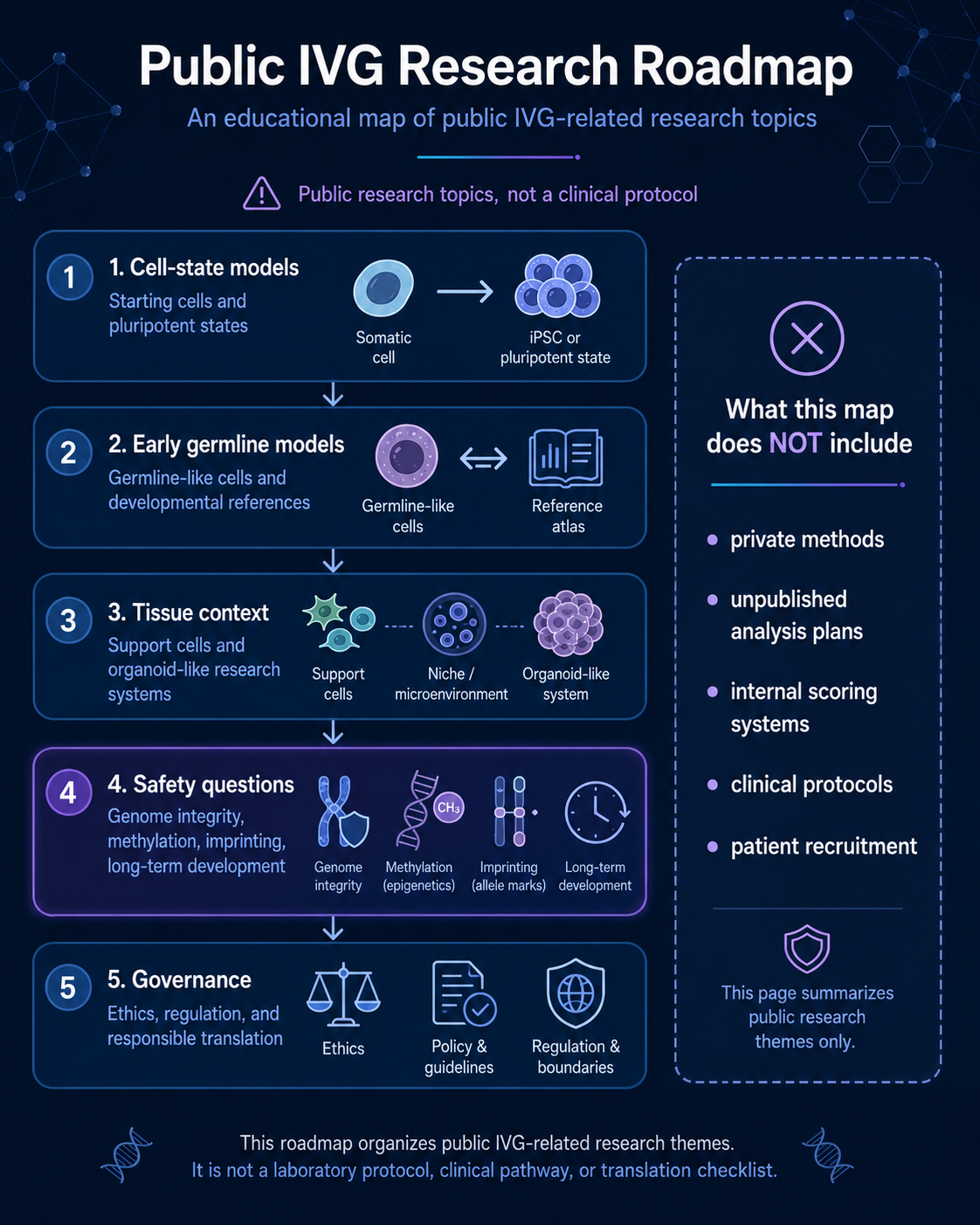 Public IVG research roadmap showing five public research themes: cell-state models, early germline models, tissue context, safety questions, and governance, with a boundary note excluding private methods, unpublished analysis plans, internal scoring systems, clinical protocols, and patient recruitment.
