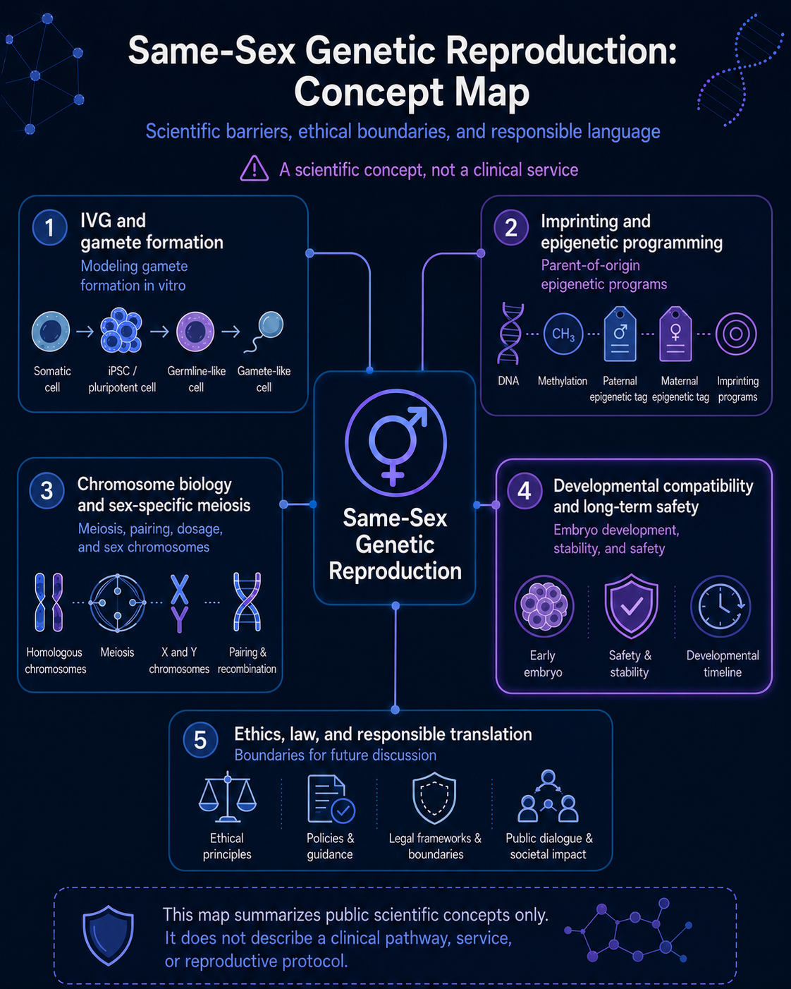 Same-sex genetic reproduction concept map showing IVG and gamete formation, imprinting and epigenetic programming, chromosome biology and sex-specific meiosis, developmental compatibility and long-term safety, and ethics, law, and responsible translation.